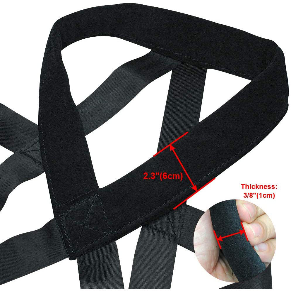 Dog training straps