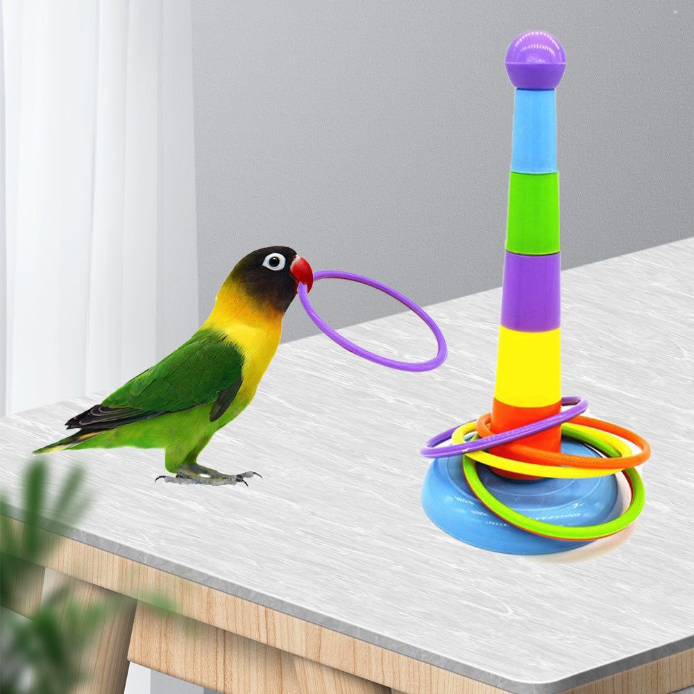 Enrichment Rings