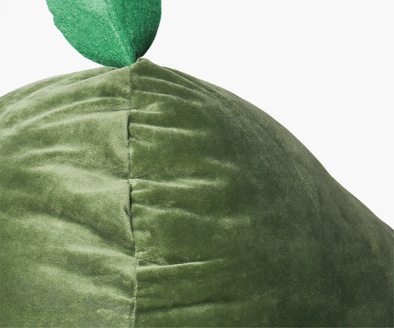 Avocado pet bed with Cushion