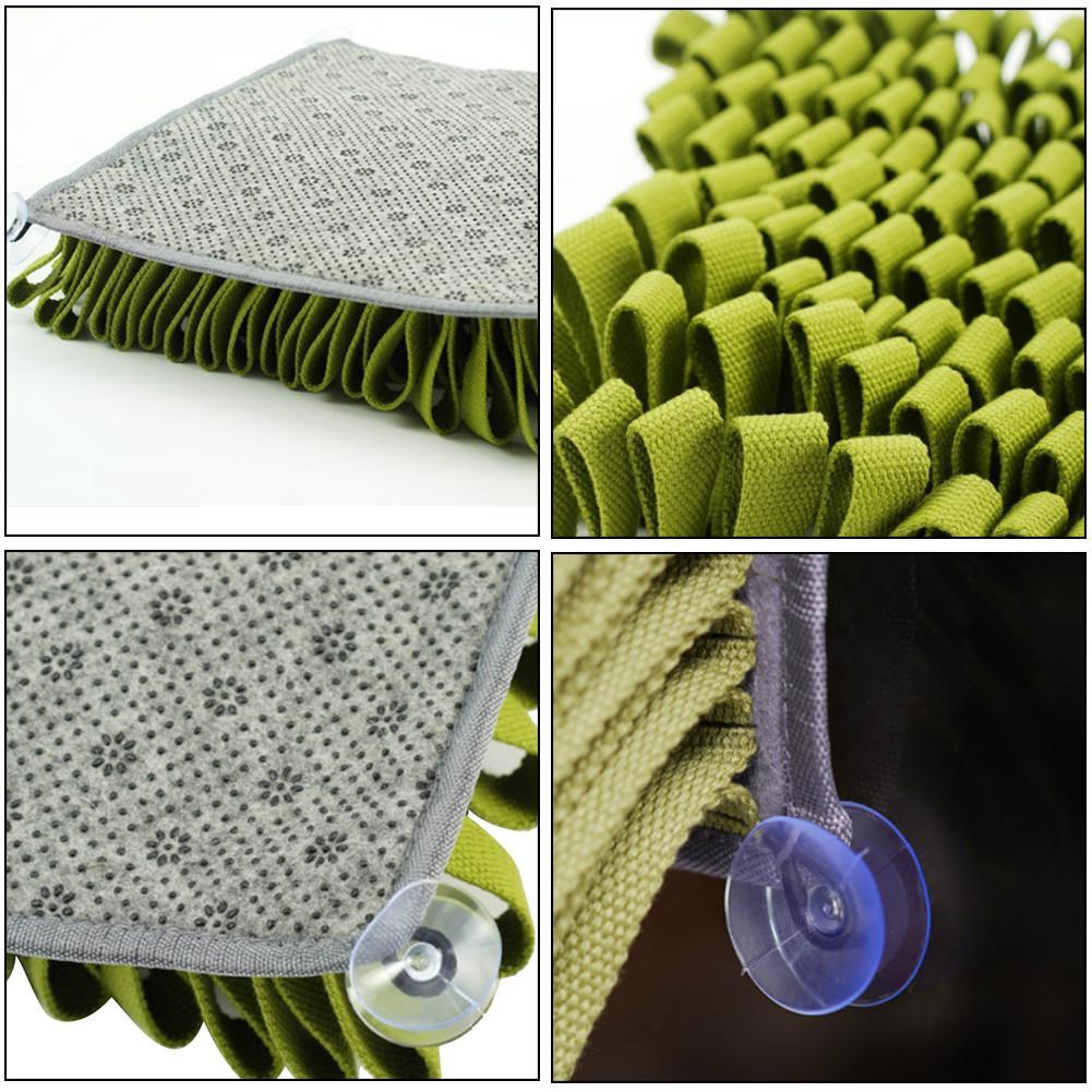 Pet Treasure Hunting Blanket