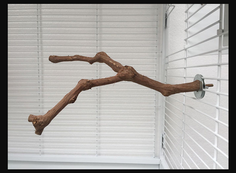 Branch perch for birds