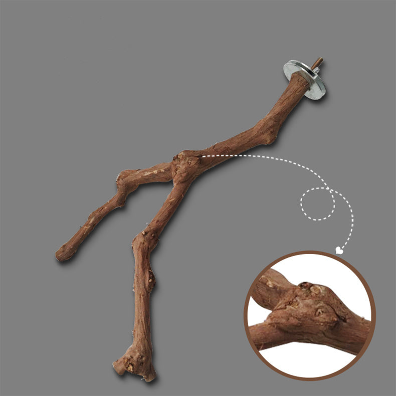 Branch perch for birds