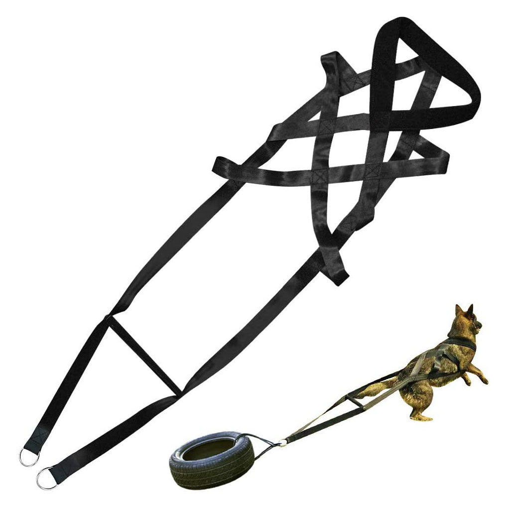 Dog training straps