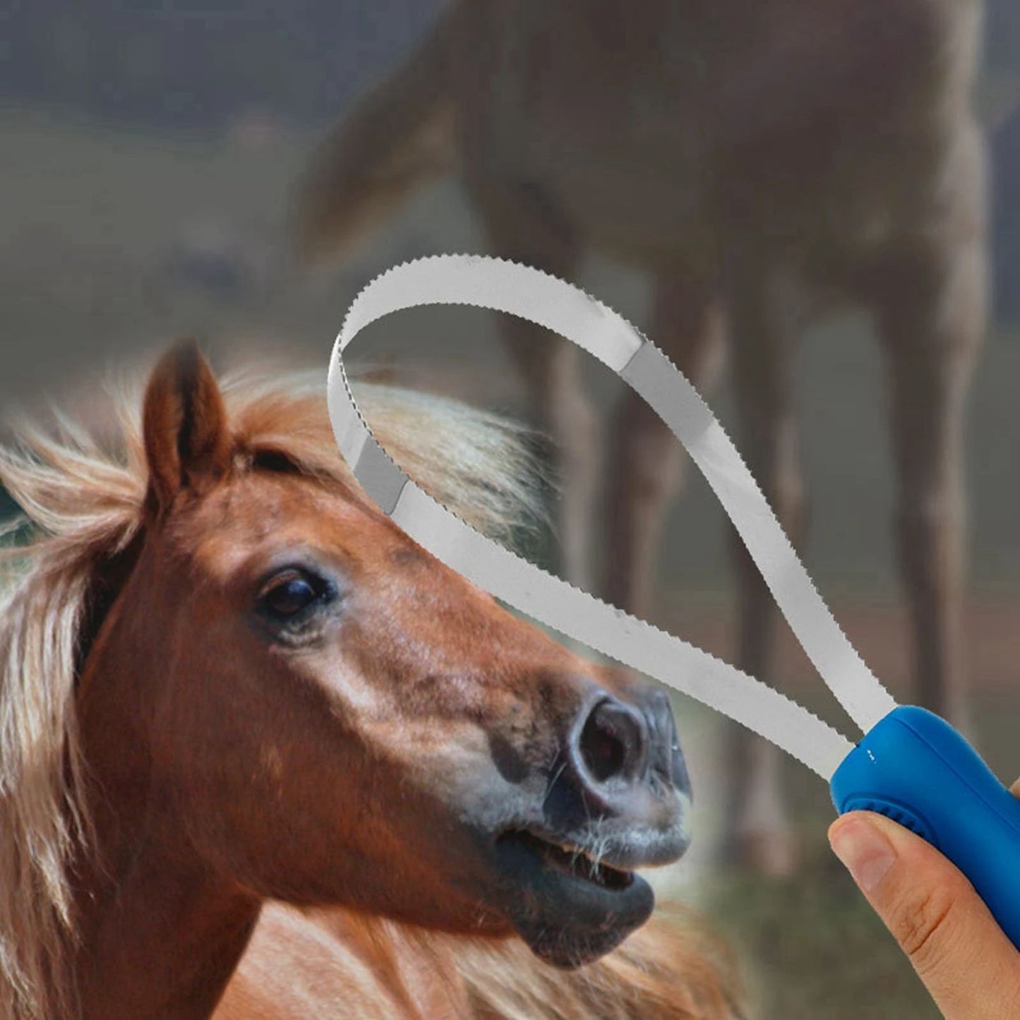 Horse Grooming Comb Equestrian Brush Scraper Nonslip Curry Comb For Animal Cattle All Dogs Types Curry Combo Sweat Scraper