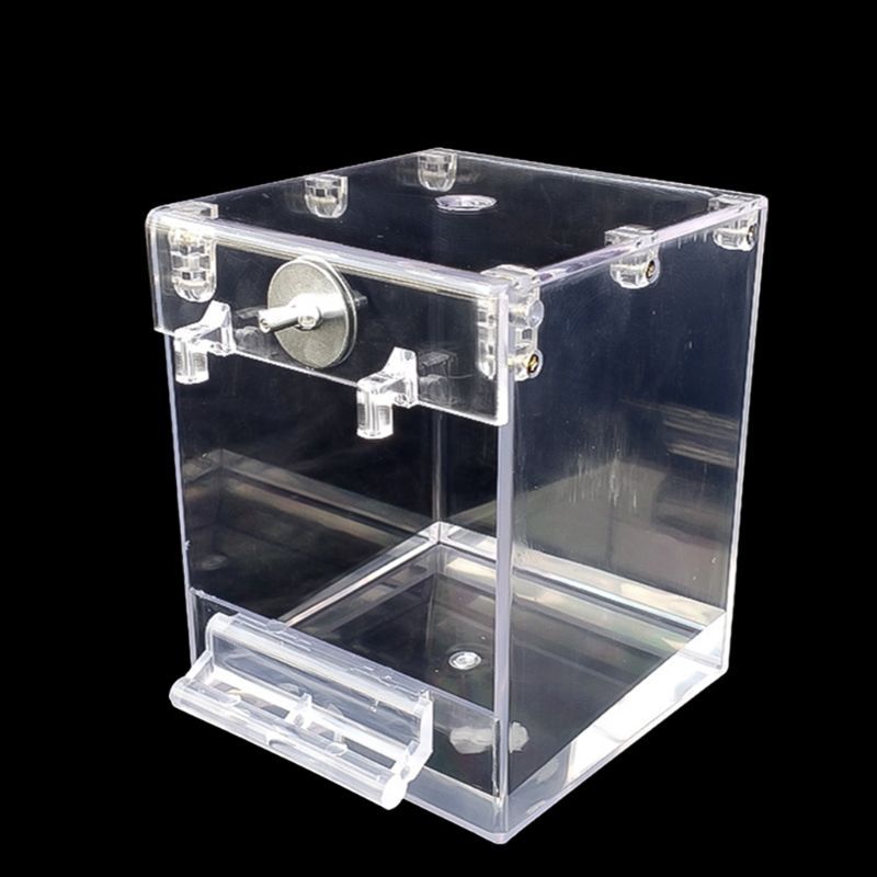 Transparent External Bird Bath