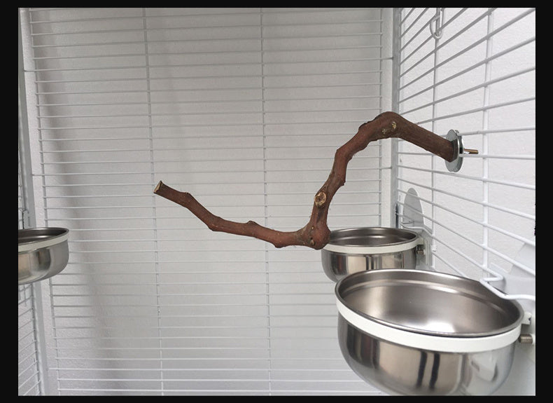 Branch perch for birds