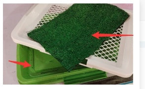 Dog Cleaning Tool Grid Lawn Flat Toilet D