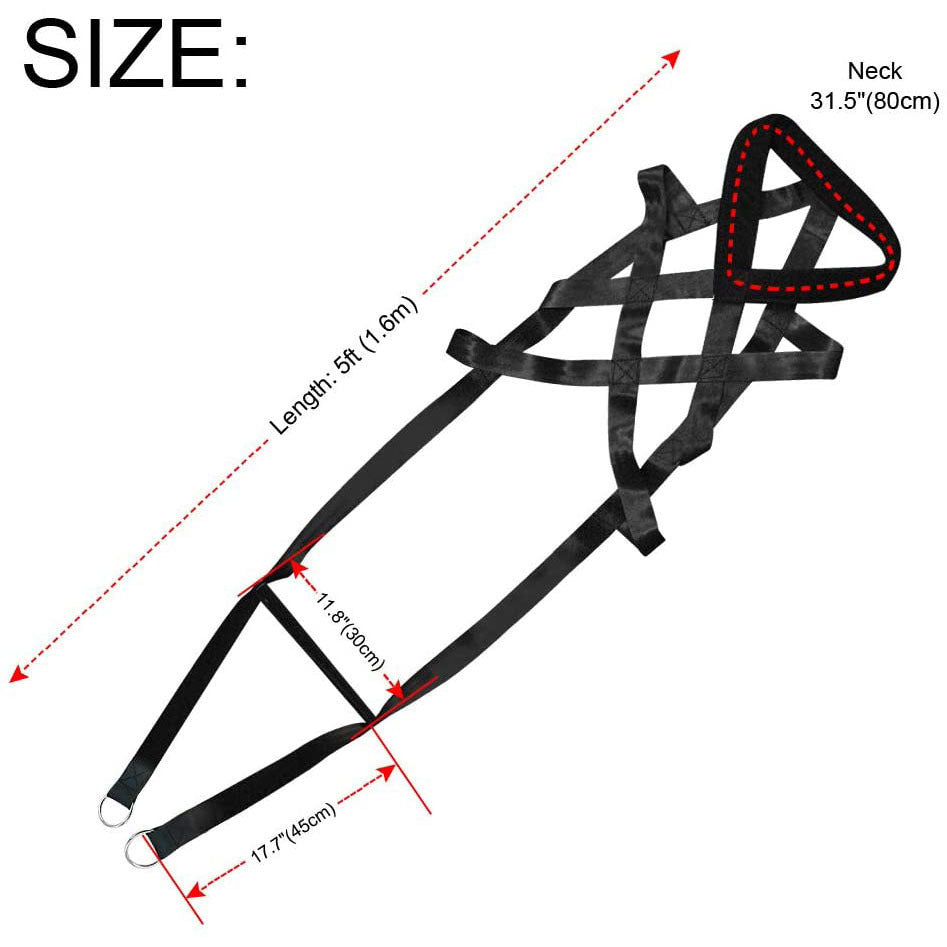Dog training straps