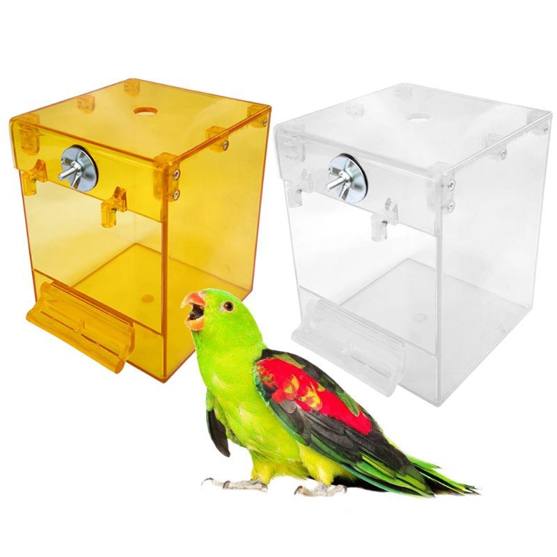 Transparent External Bird Bath