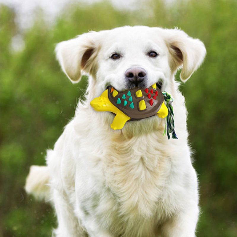 Dog Toothbrush Chew Toys Natural Rubber Dog Tooth Cleaner