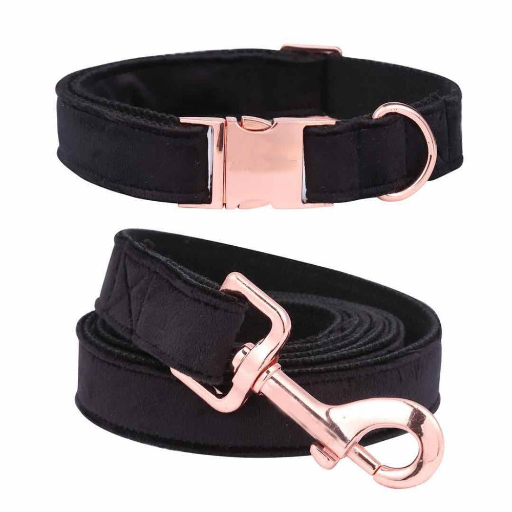 Unique Style Paws Black Soft Collar And Leash
