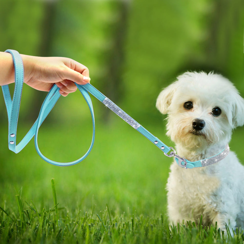 Rhinestone collar and leash set