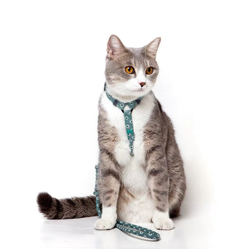 Floral Harness and Leash set