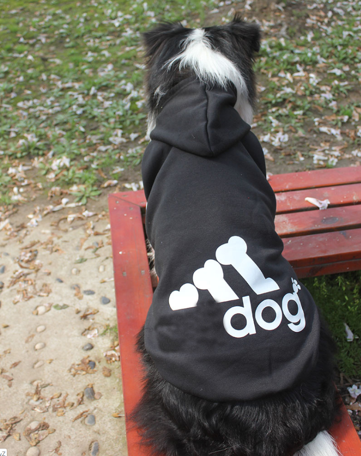 Adidog Dog Hoodie