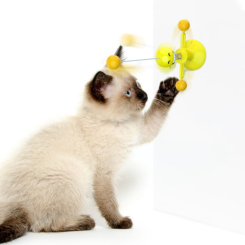Spring man turns cat toy