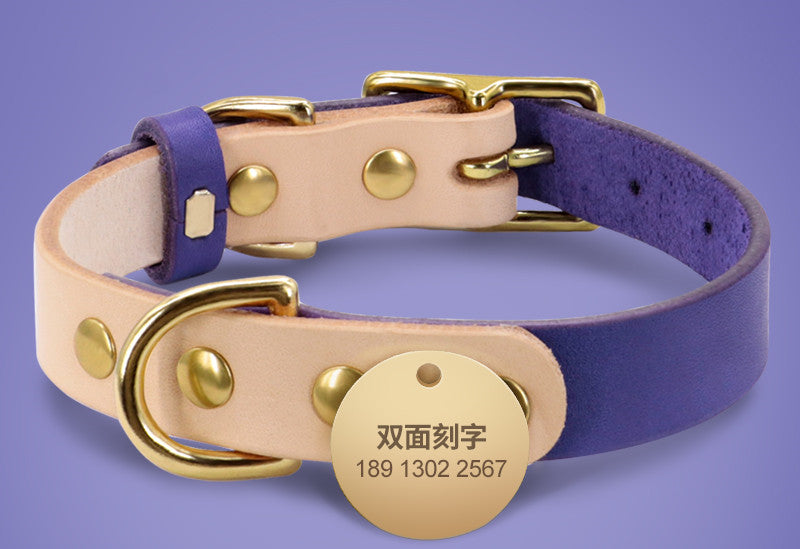 Personalized Custom Dog Cat Leather Collar