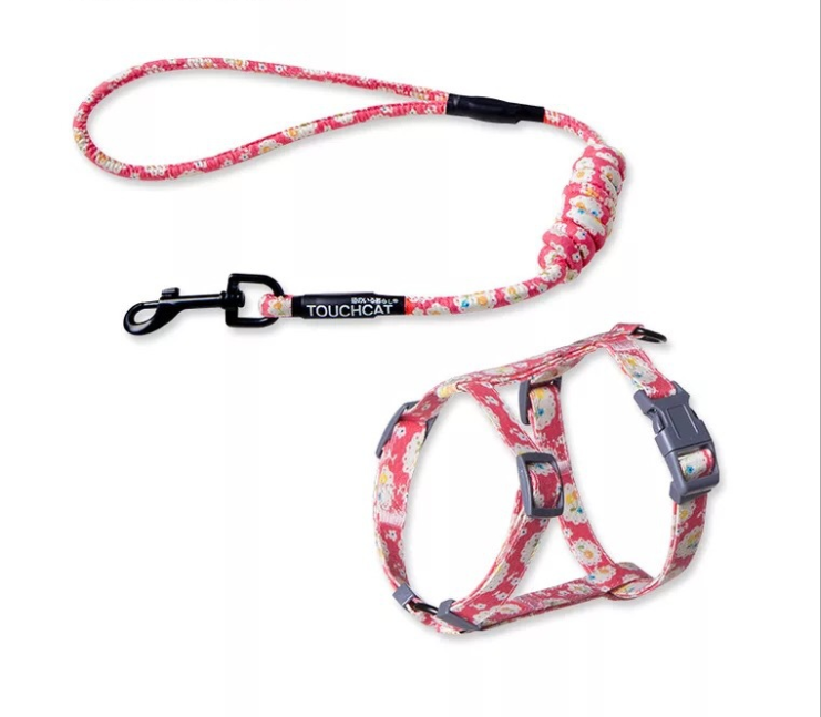 Floral Harness and Leash set