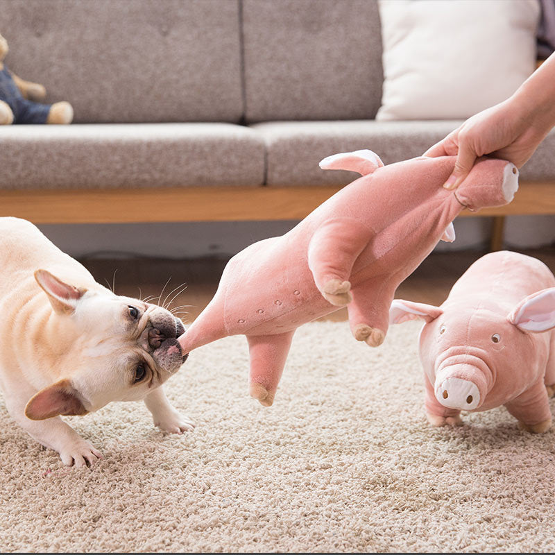 Sleeping Pig With Dog Toy