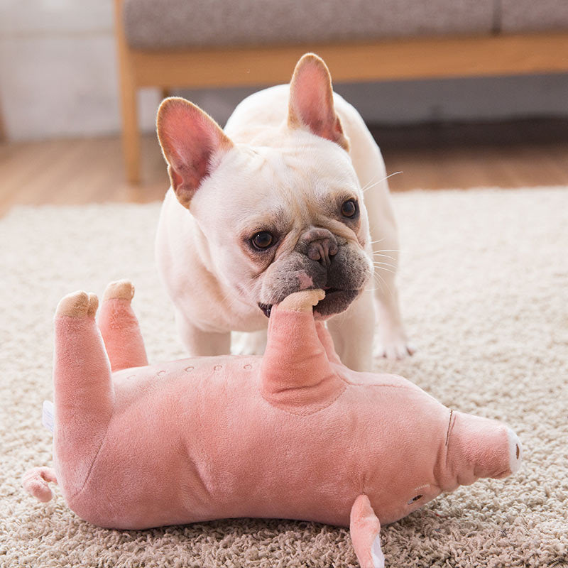Sleeping Pig With Dog Toy
