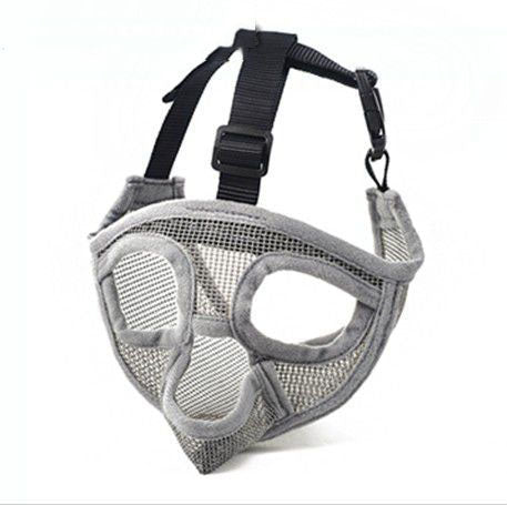 French bull dog, brachycephalic dog muzzle