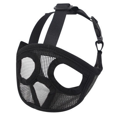 French bull dog, brachycephalic dog muzzle