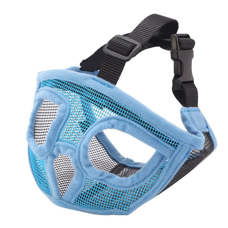 French bull dog, brachycephalic dog muzzle