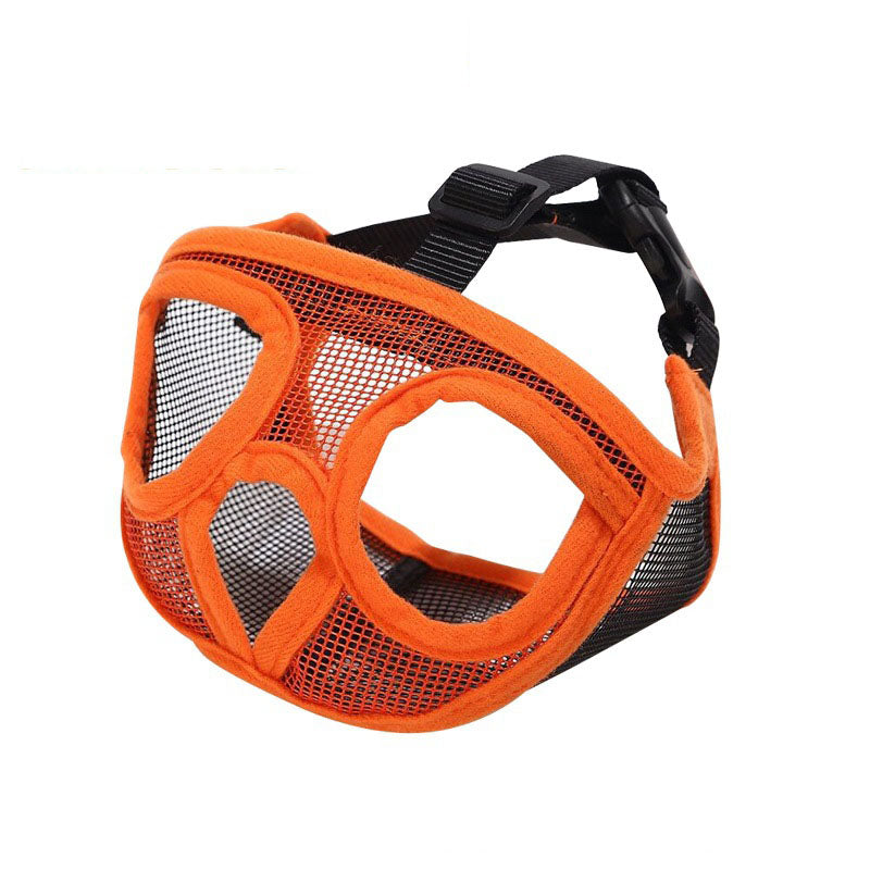 French bull dog, brachycephalic dog muzzle