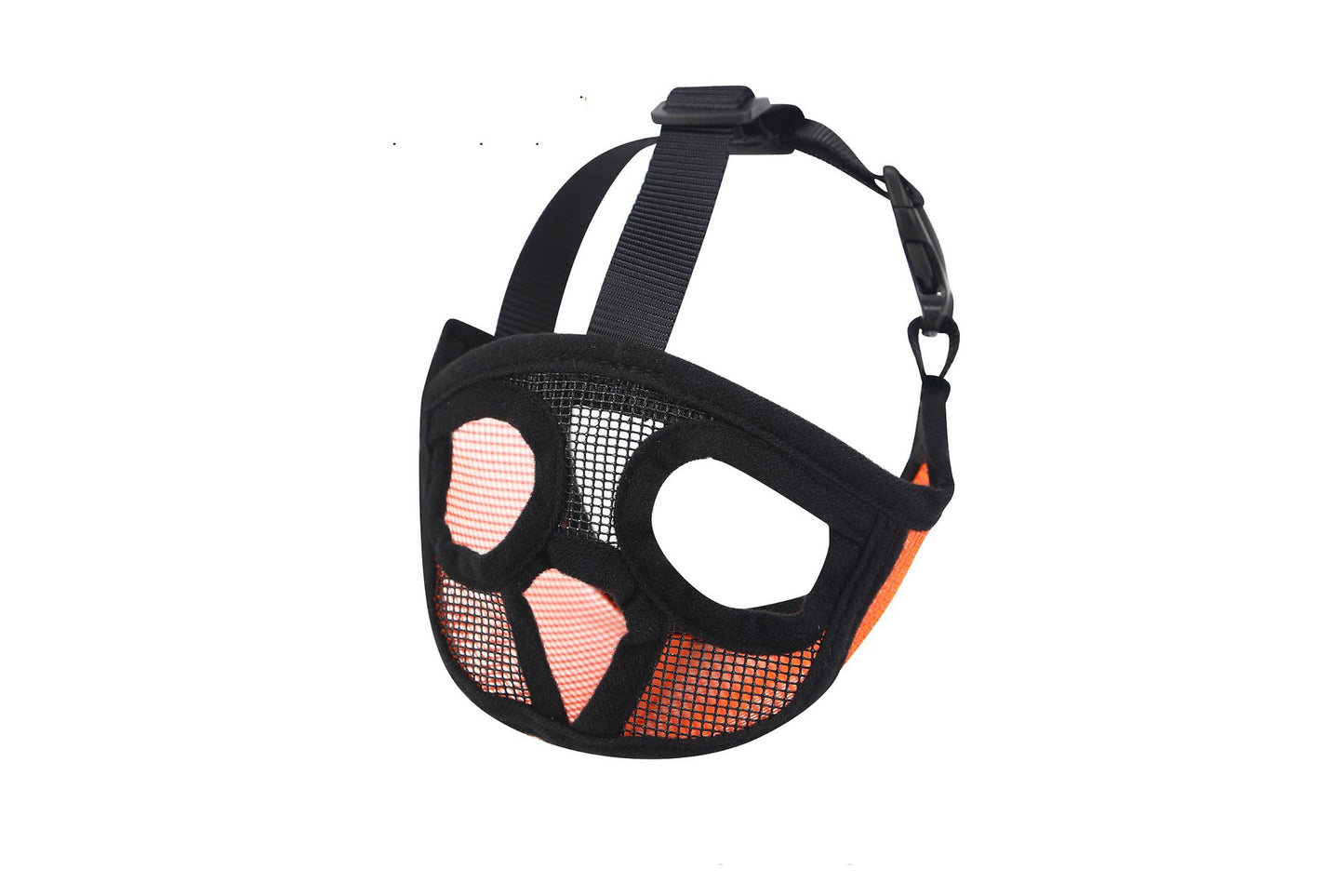 French bull dog, brachycephalic dog muzzle
