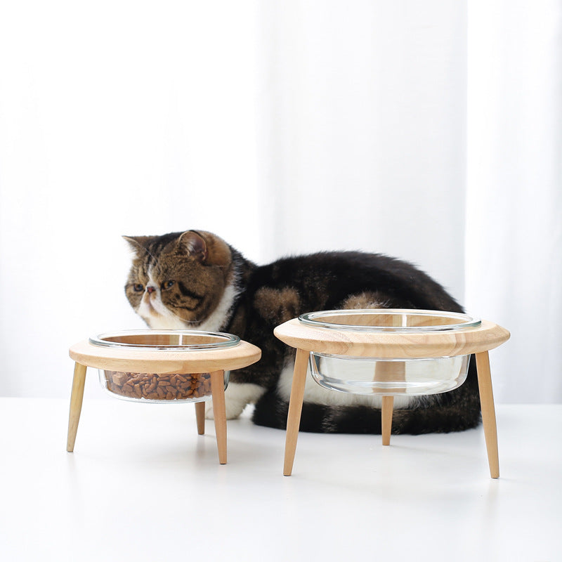 Glass cat bowl