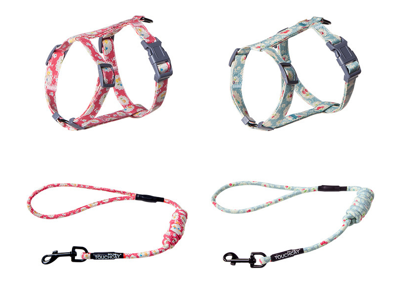 Floral Harness and Leash set