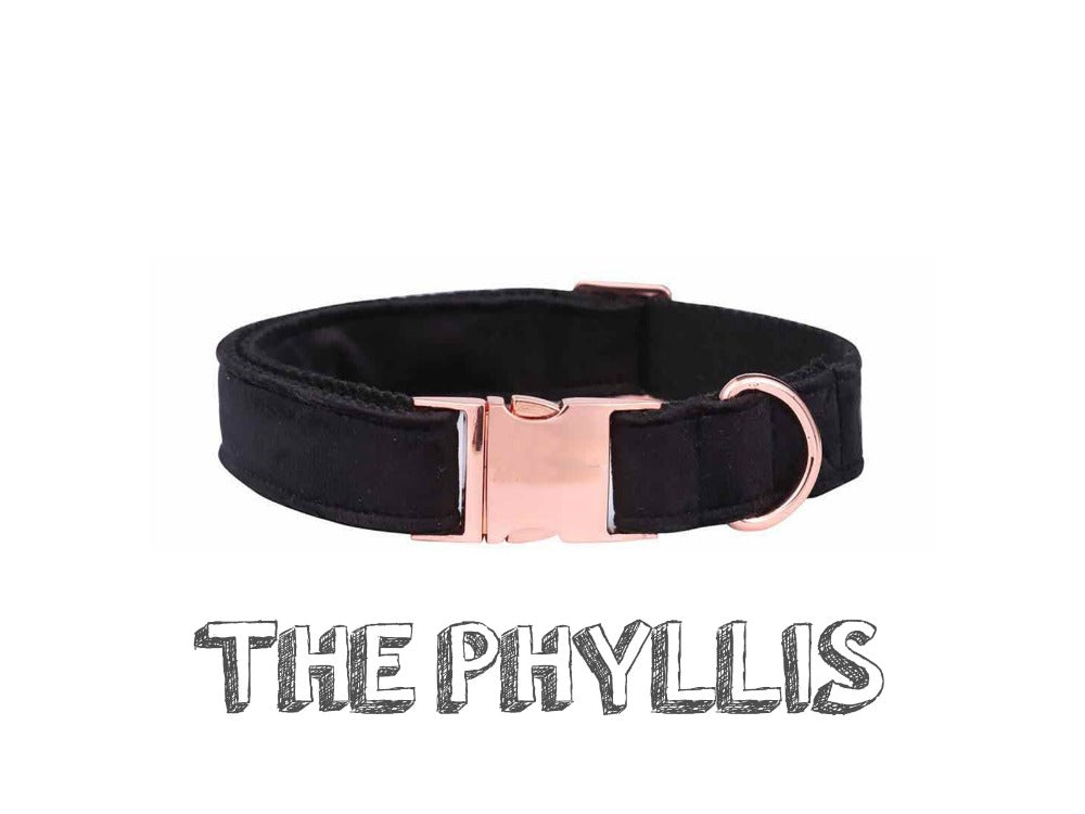 Unique Style Paws Black Soft Collar And Leash