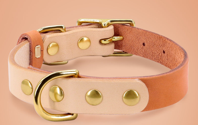 Personalized Custom Dog Cat Leather Collar