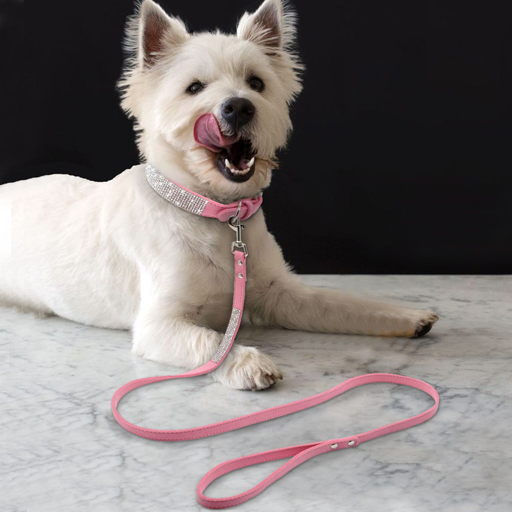 Rhinestone collar and leash set