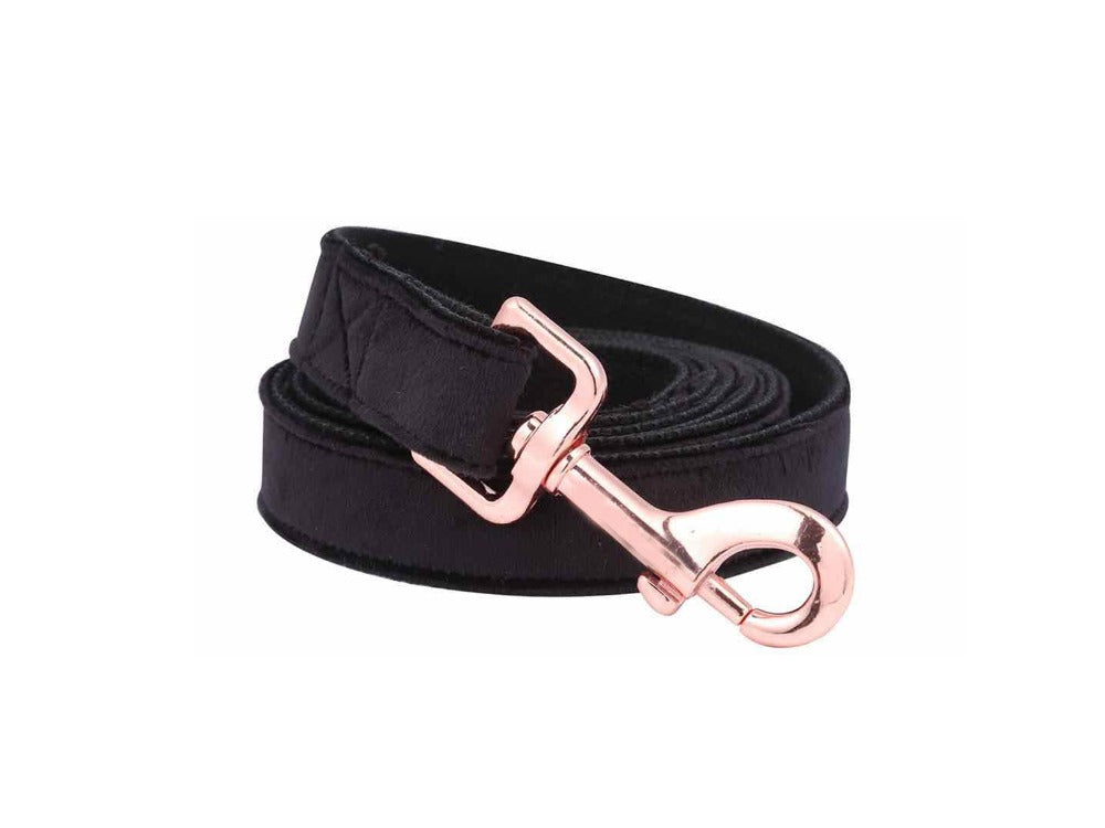 Unique Style Paws Black Soft Collar And Leash