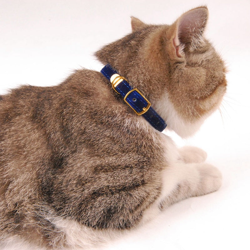 Velvet cat collar