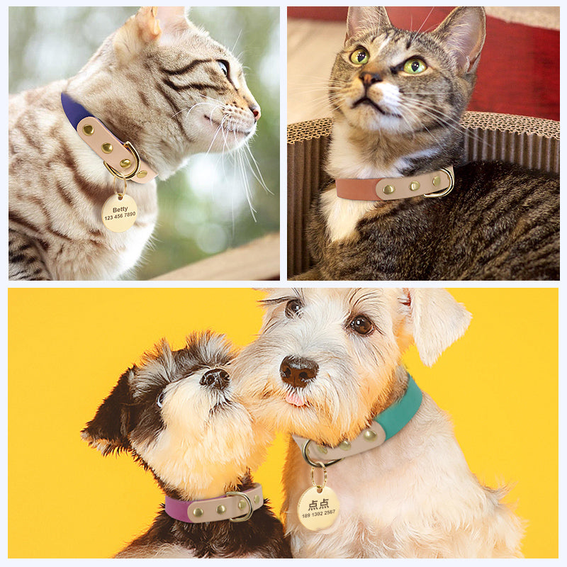 Personalized Custom Dog Cat Leather Collar