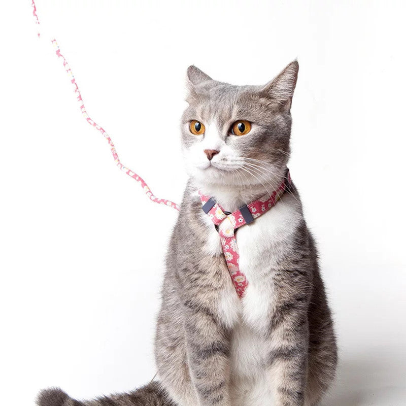 Floral Harness and Leash set