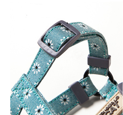 Floral Harness and Leash set