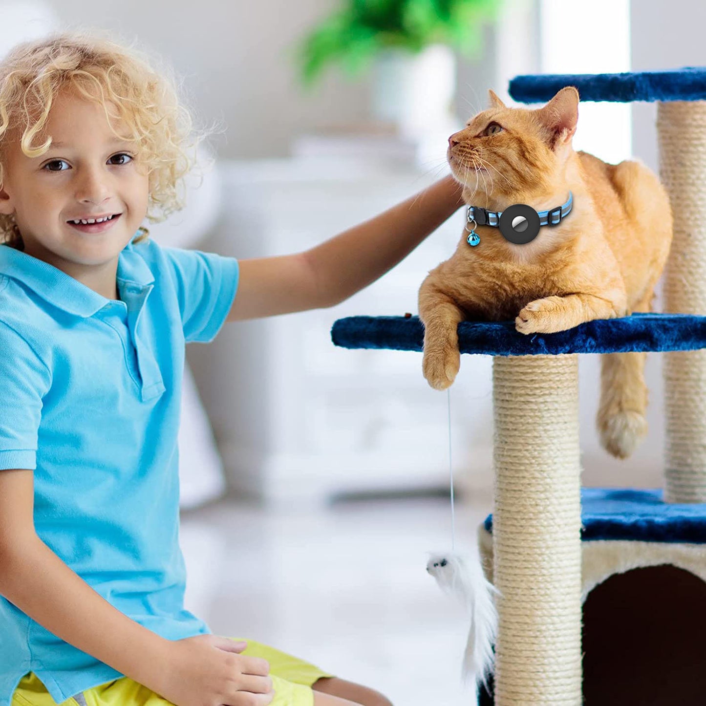 Airtag Cat Collar Holder with bell