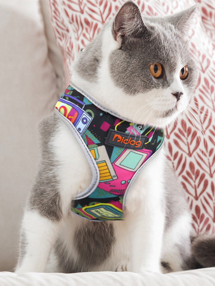 Cat walking harness