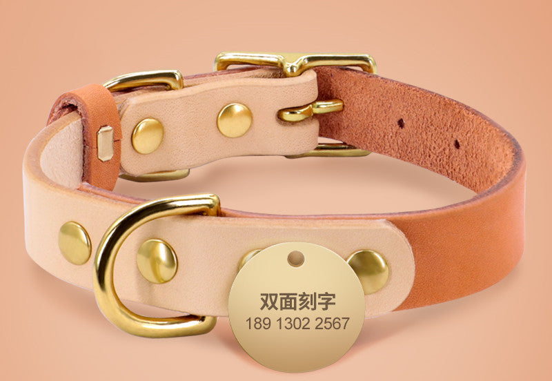 Personalized Custom Dog Cat Leather Collar