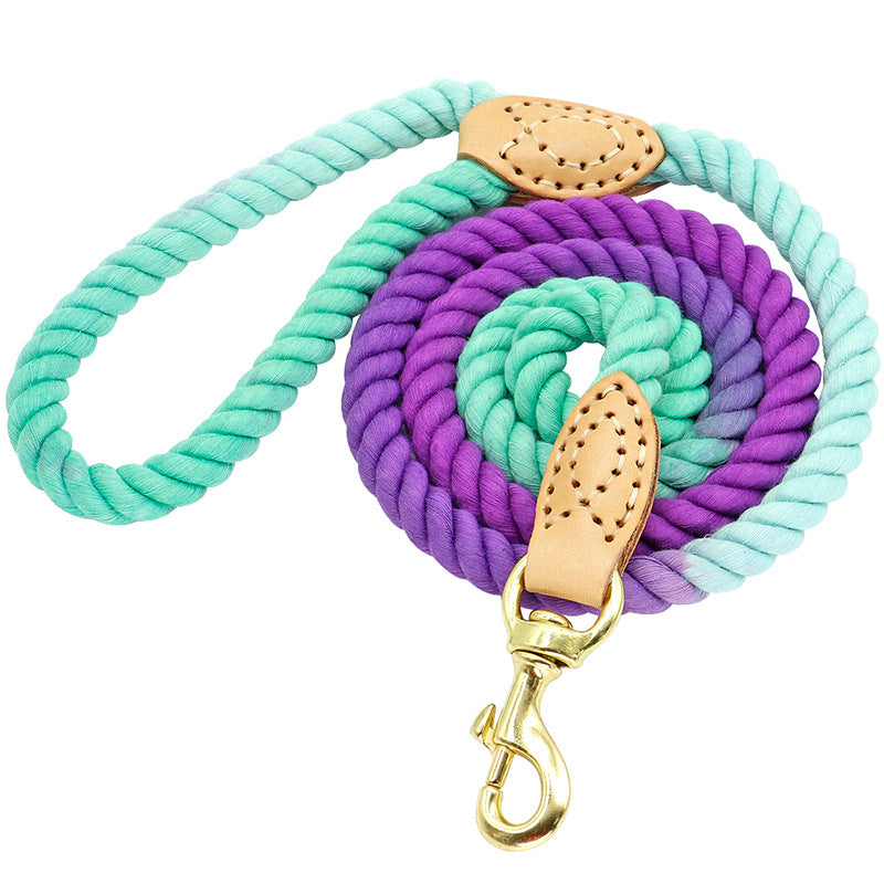 Creative One-to-two Double-headed Dog Walking Rope