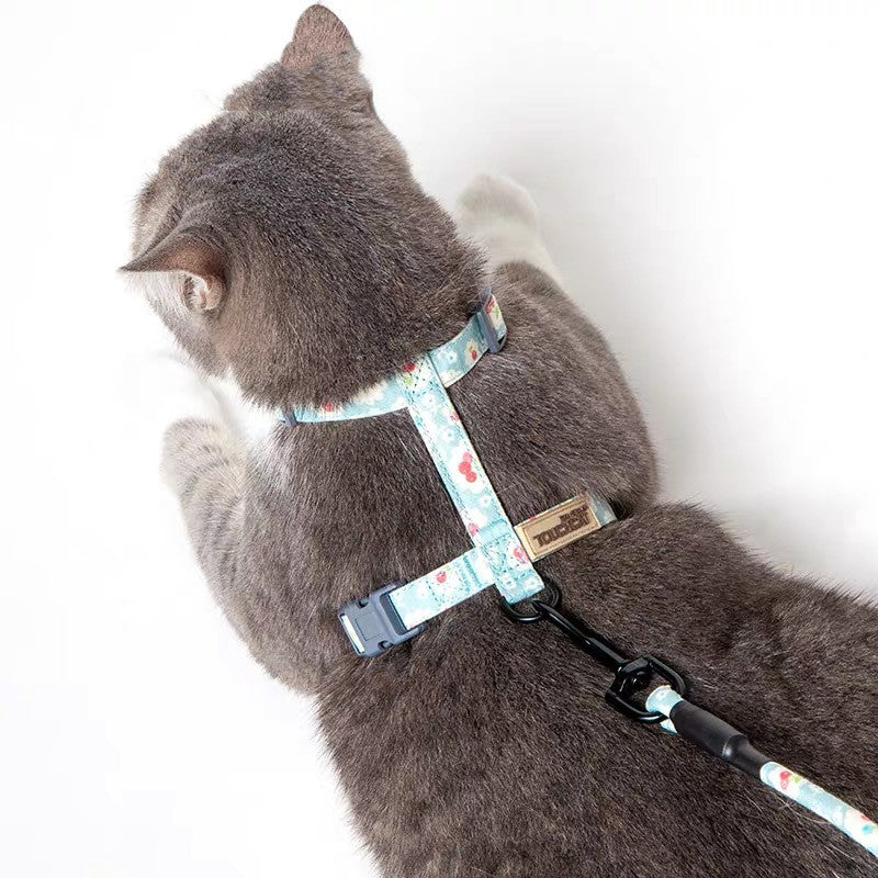 Floral Harness and Leash set