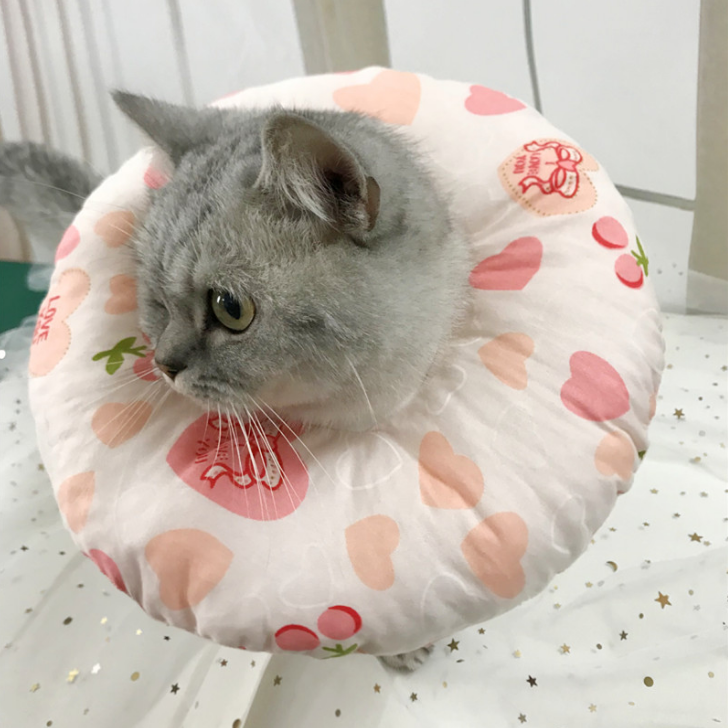 Soft Cat Doughnut E-Collar