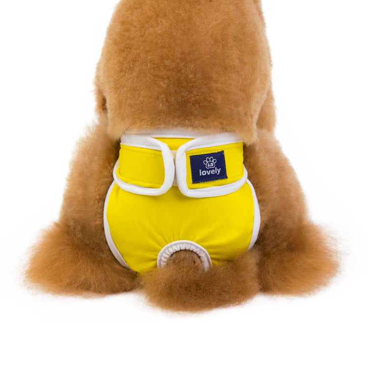 Menstrual Period Anti-harassment Pet Physiological Pants