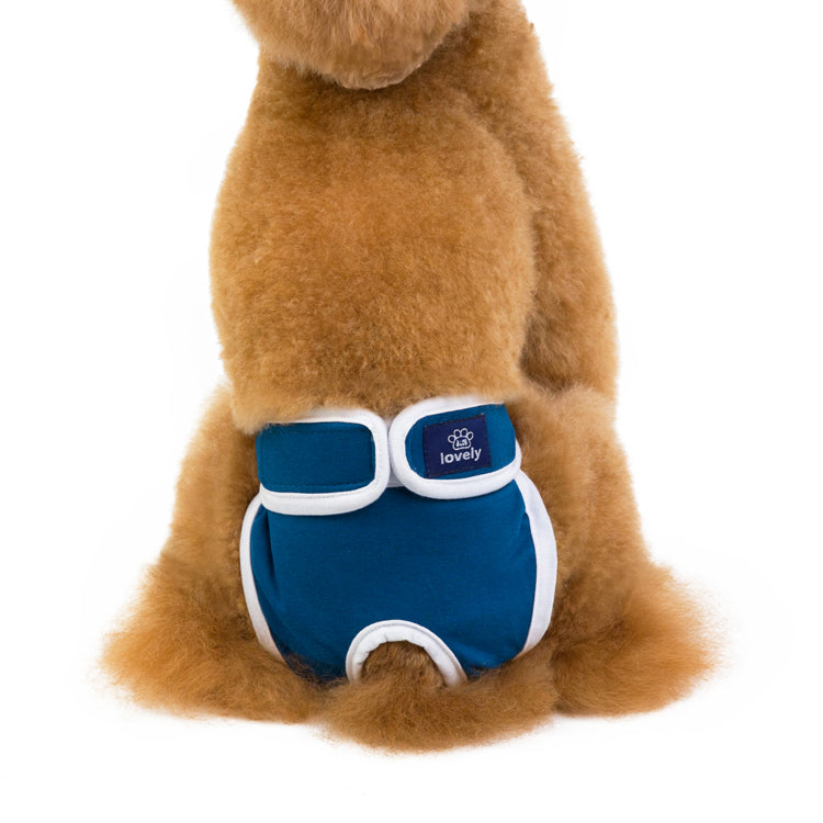 Menstrual Period Anti-harassment Pet Physiological Pants