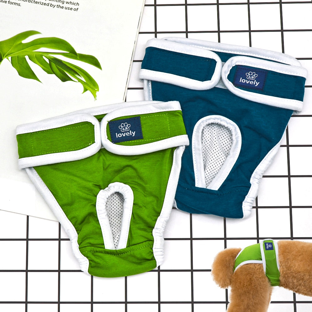 Menstrual Period Anti-harassment Pet Physiological Pants