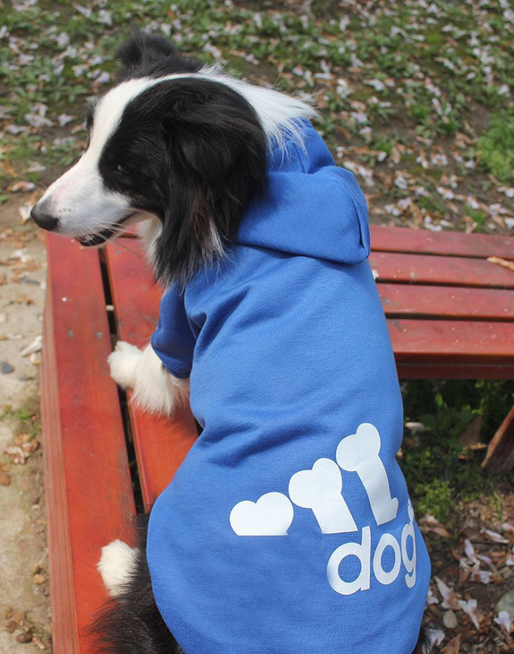 Adidog Dog Hoodie