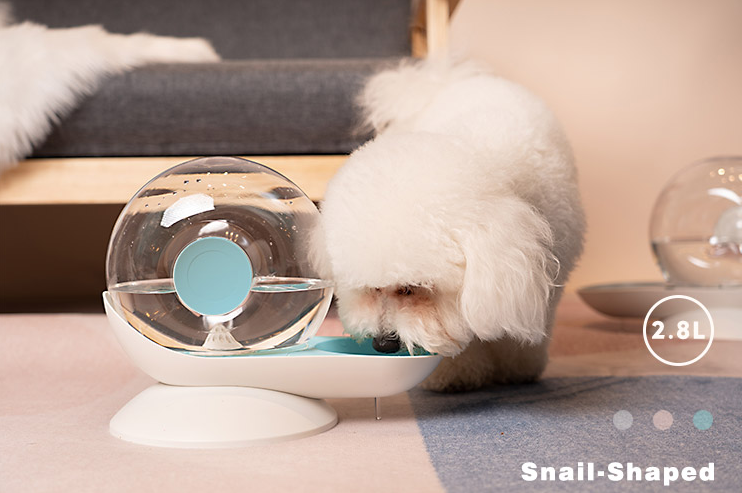 Cat drinking fountain