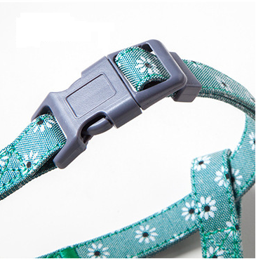 Floral Harness and Leash set